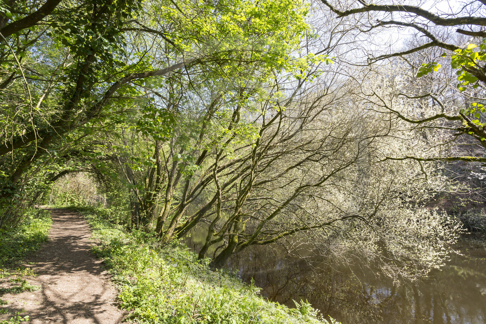 Paysage en bordure du Scorff. Pont-Scorff