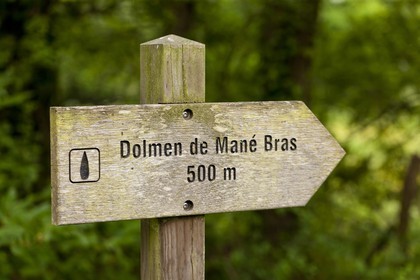 Le dolmen de Mane Bras _ la Trinite sur mer.