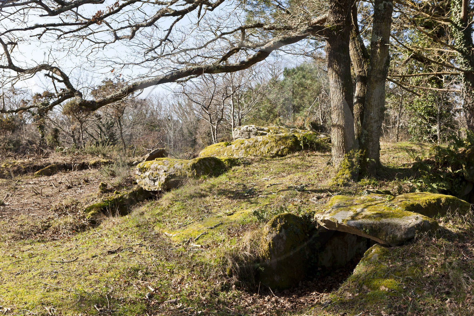 Dolmen de kervilor mane bras. La Trinite su Mer.
