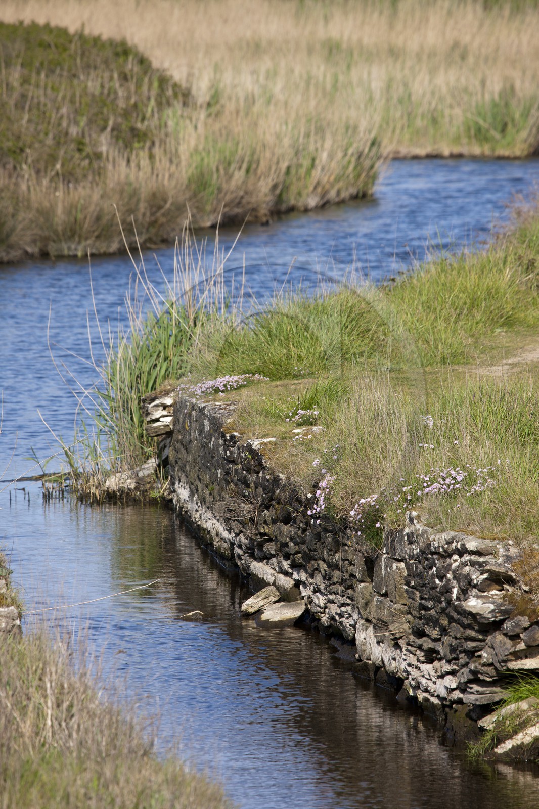 Etang du Loch - Guidel