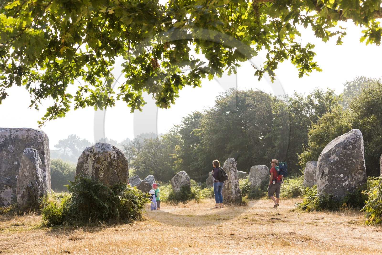 Alignement de Menhirs de Kerzerho _ Erdeven.