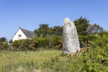 Le menhir de Kermaillard à Sarzeau