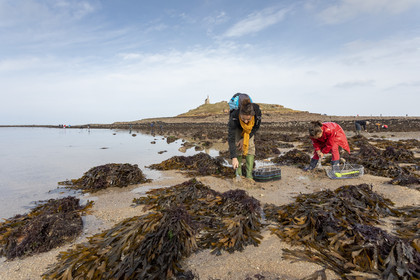Plage de l'ilôt Saint-Michel à Erquy