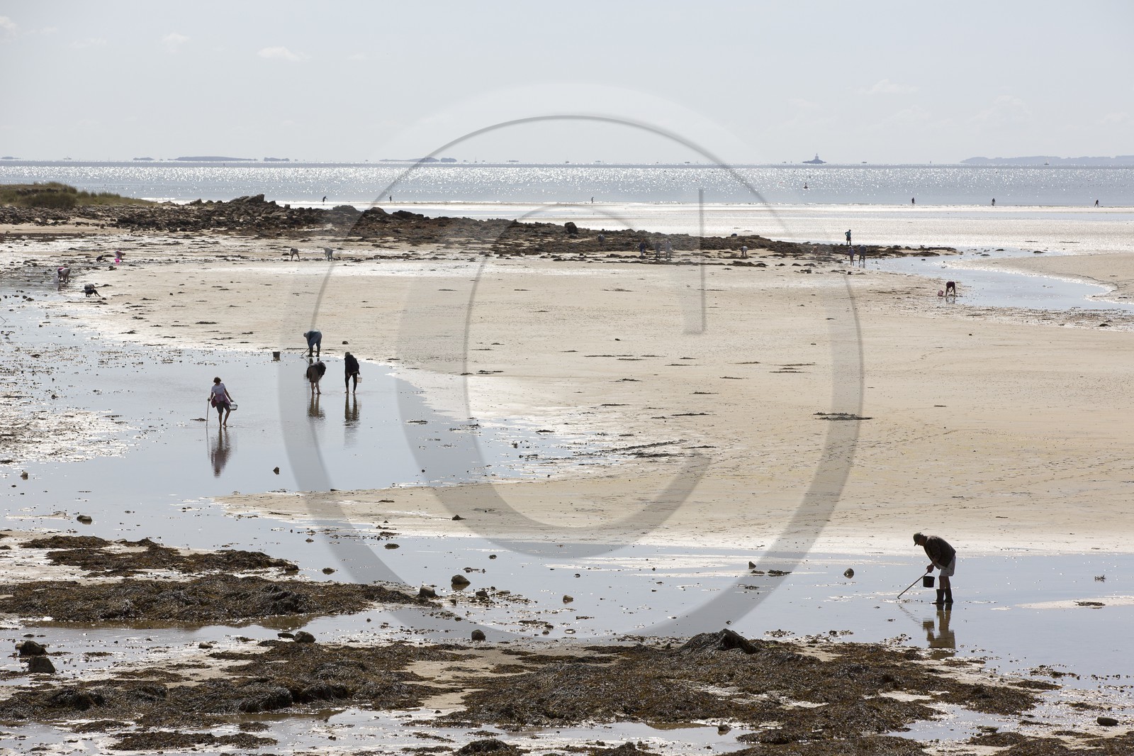 Peche a pied _ plage du men du