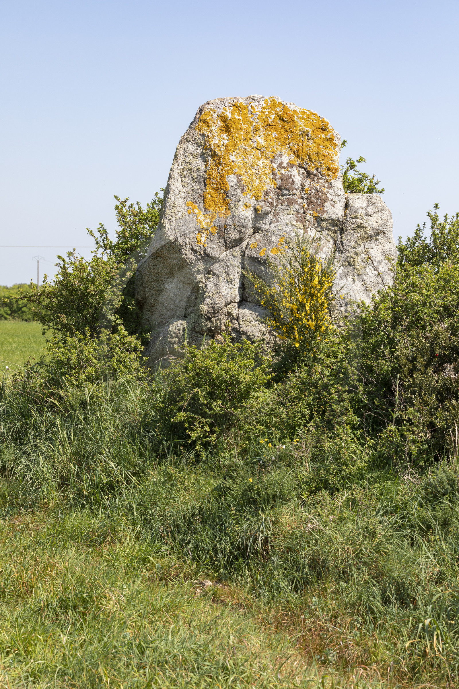 Menhir du net. Saint-Gildas-de-Rhuys