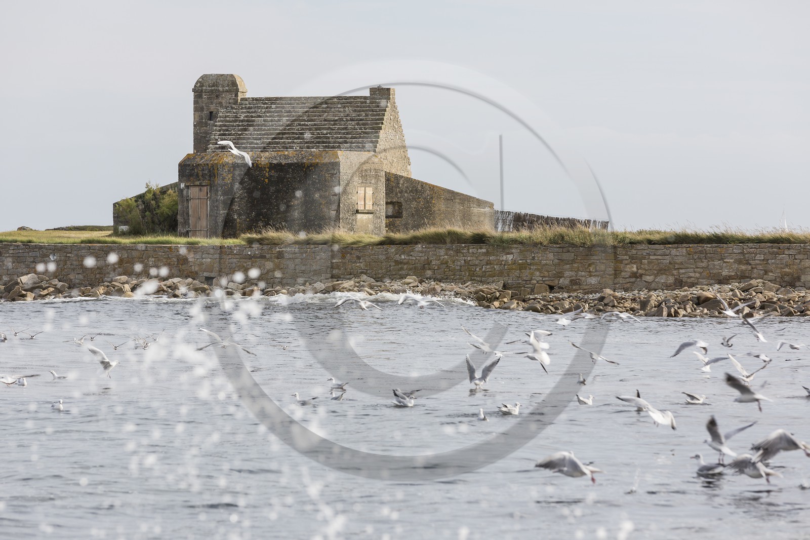 La pointe de Kerbihan _ La Trinité sur Mer