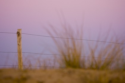 Massif dunaire Gavres-Quiberon_Erdeven.