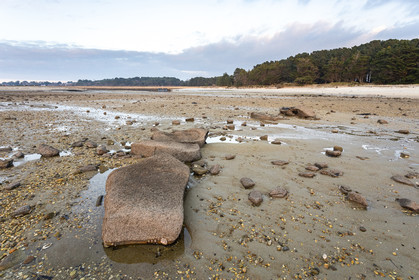 Alignments Kerdual in La Trinité sur Mer