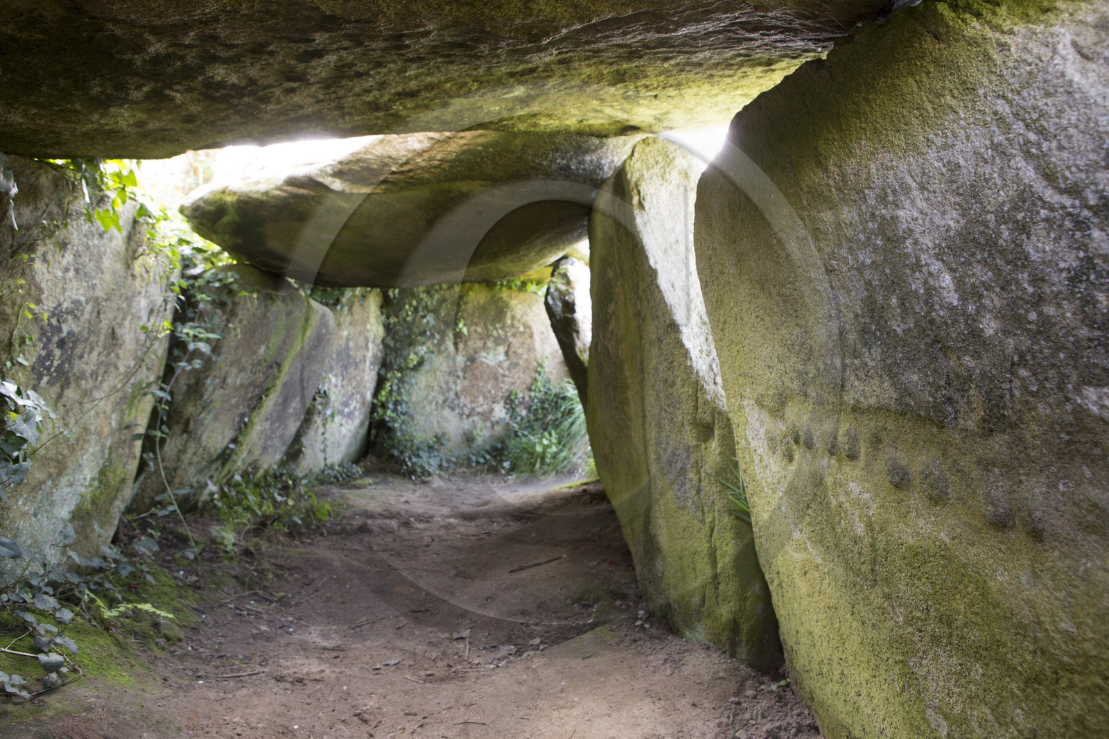 L'allée couverte de Kerguntuil à Trégastel.
