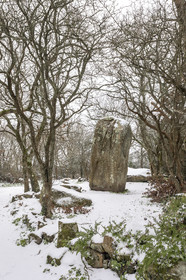 Alignments of Kerzerho _ Erdeven