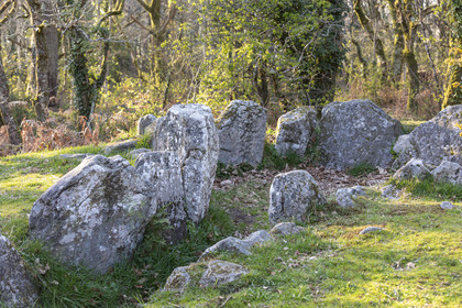 Le site mégalithiques de Mané Roulad à Ploemel