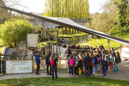 The Odyssaum at Pont-Scorff