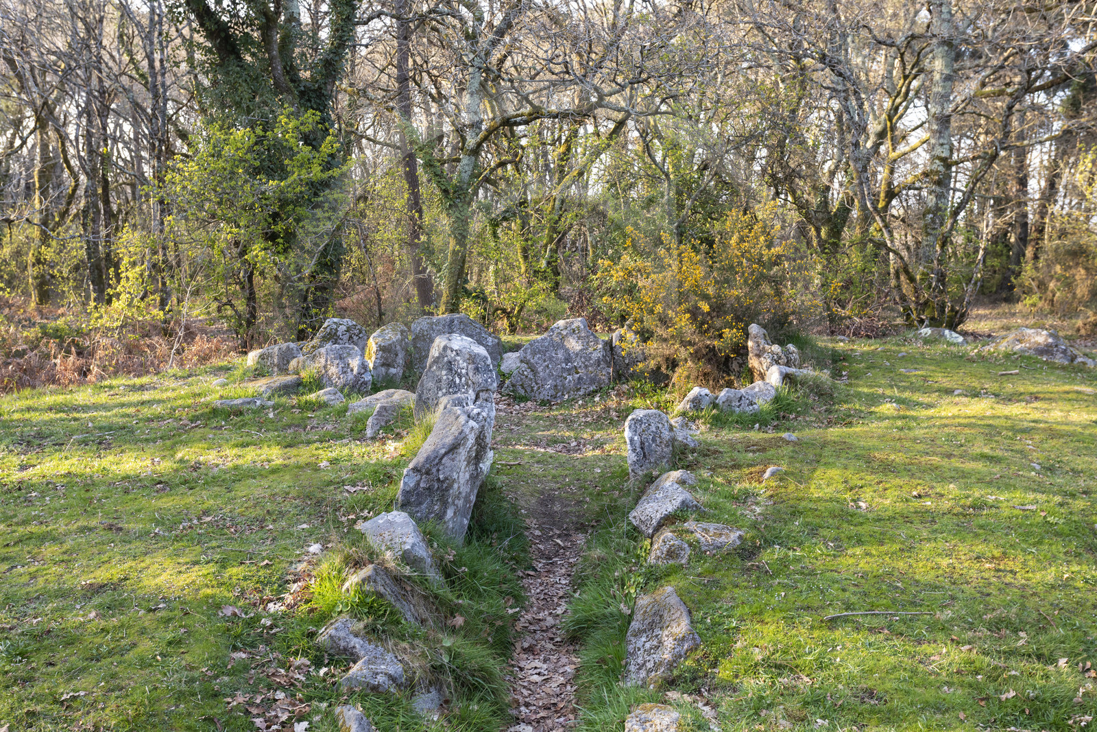 Le site mégalithiques de Mané Bogad à Ploemel