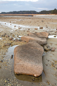 Alignements de Kerdual _ la Trinité sur Mer