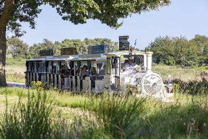 CARNAC _ Le petit train touristique _ ÉTÉ 2021
