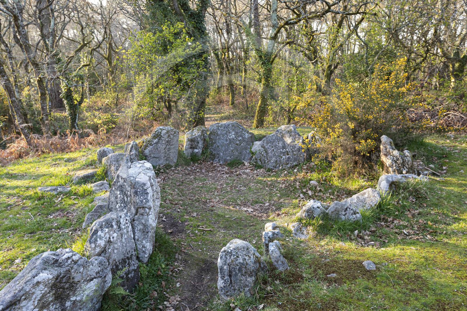 Le site mégalithiques de Mané Bogad à Ploemel