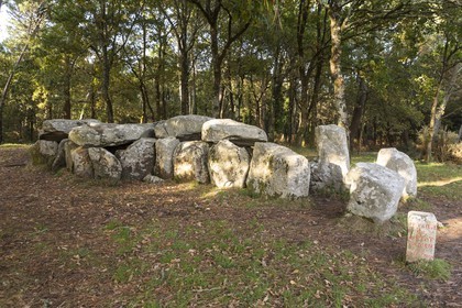Le dolmen de Mané Groh _ Erdeven