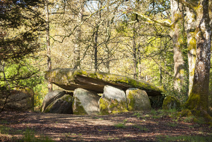Le dolmen de la Loge au loup à Trédion