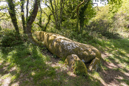 Dolmen de Men Hiaul (Kerblay) à Sarzeau