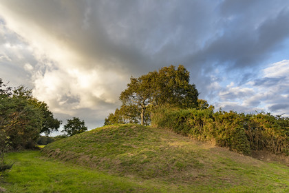 Le tumulus du Moustoir à Carnac