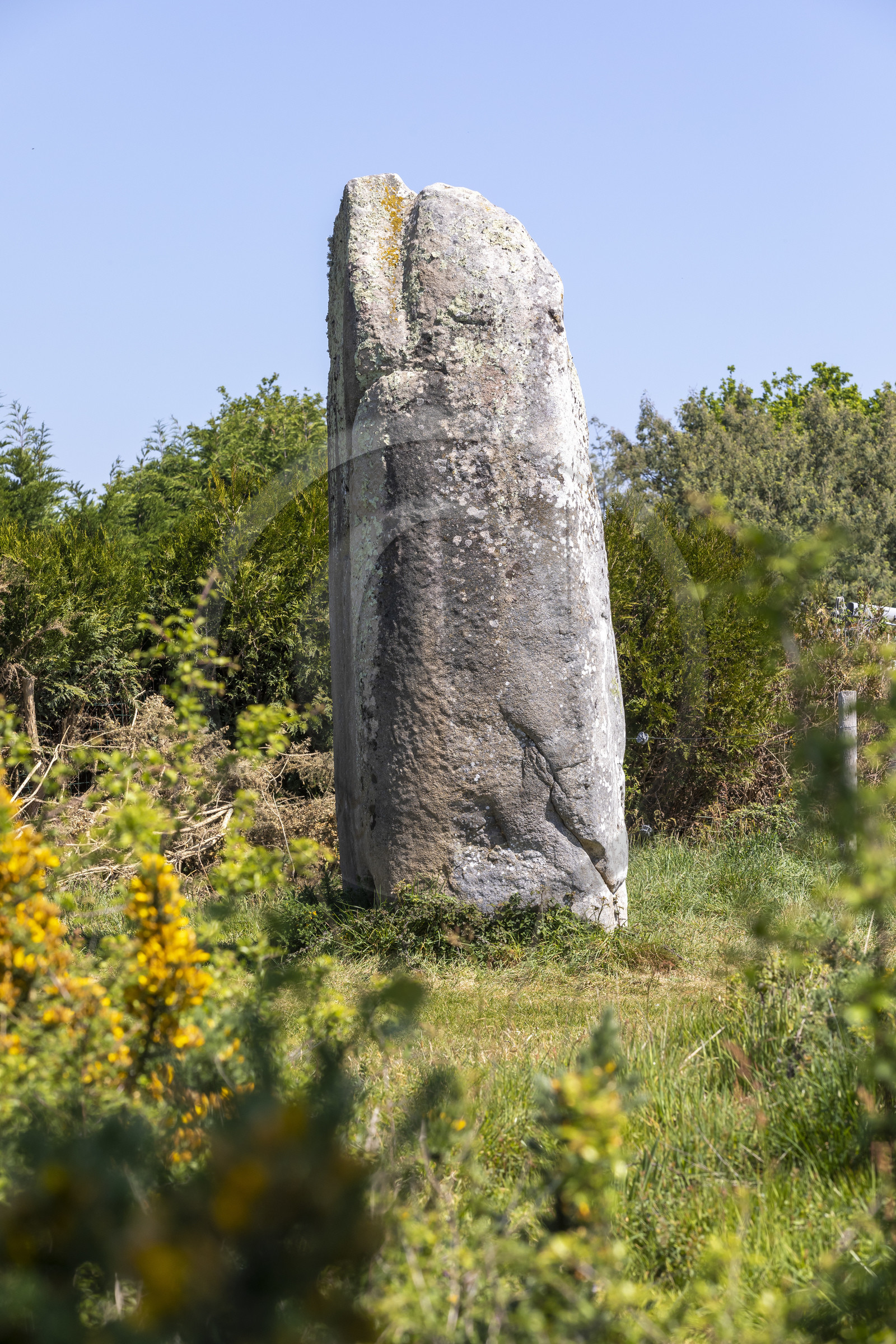 Le menhir de Kermaillard à Sarzeau