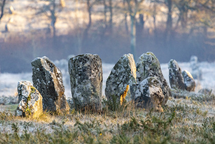 Alignements de Kermario à Carnac