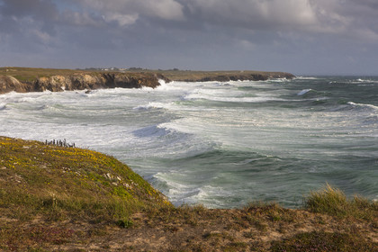La cote sauvage de Quiberon. St Pierre Quiberon. -  - The peninsula of Quiberon