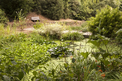 Pont-Scorff_Jardin d' Adol