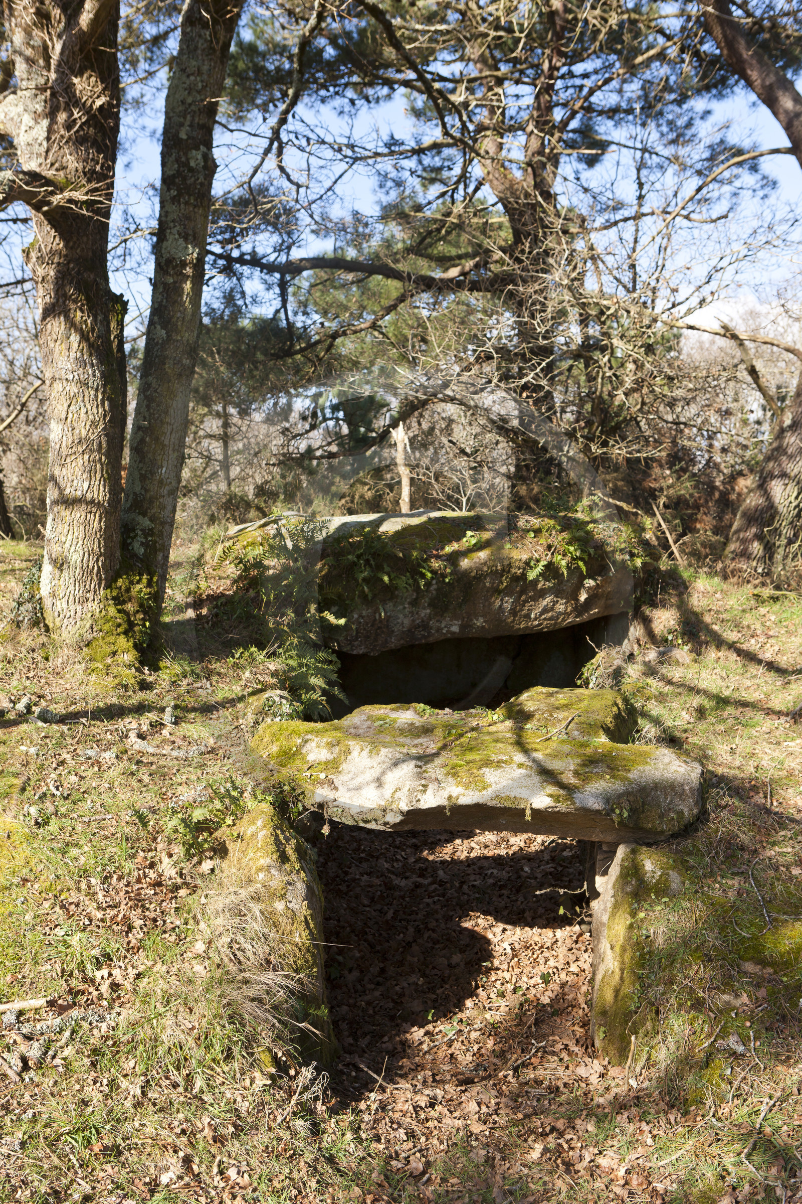 Dolmen de kervilor mane bras. La Trinite su Mer.