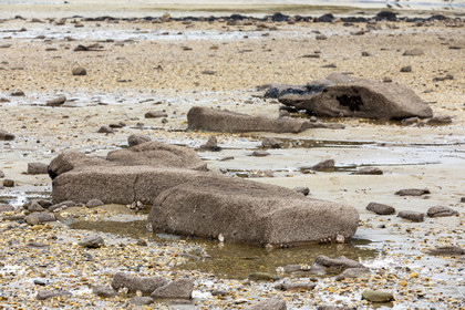 Alignments Kerdual in La Trinité sur Mer