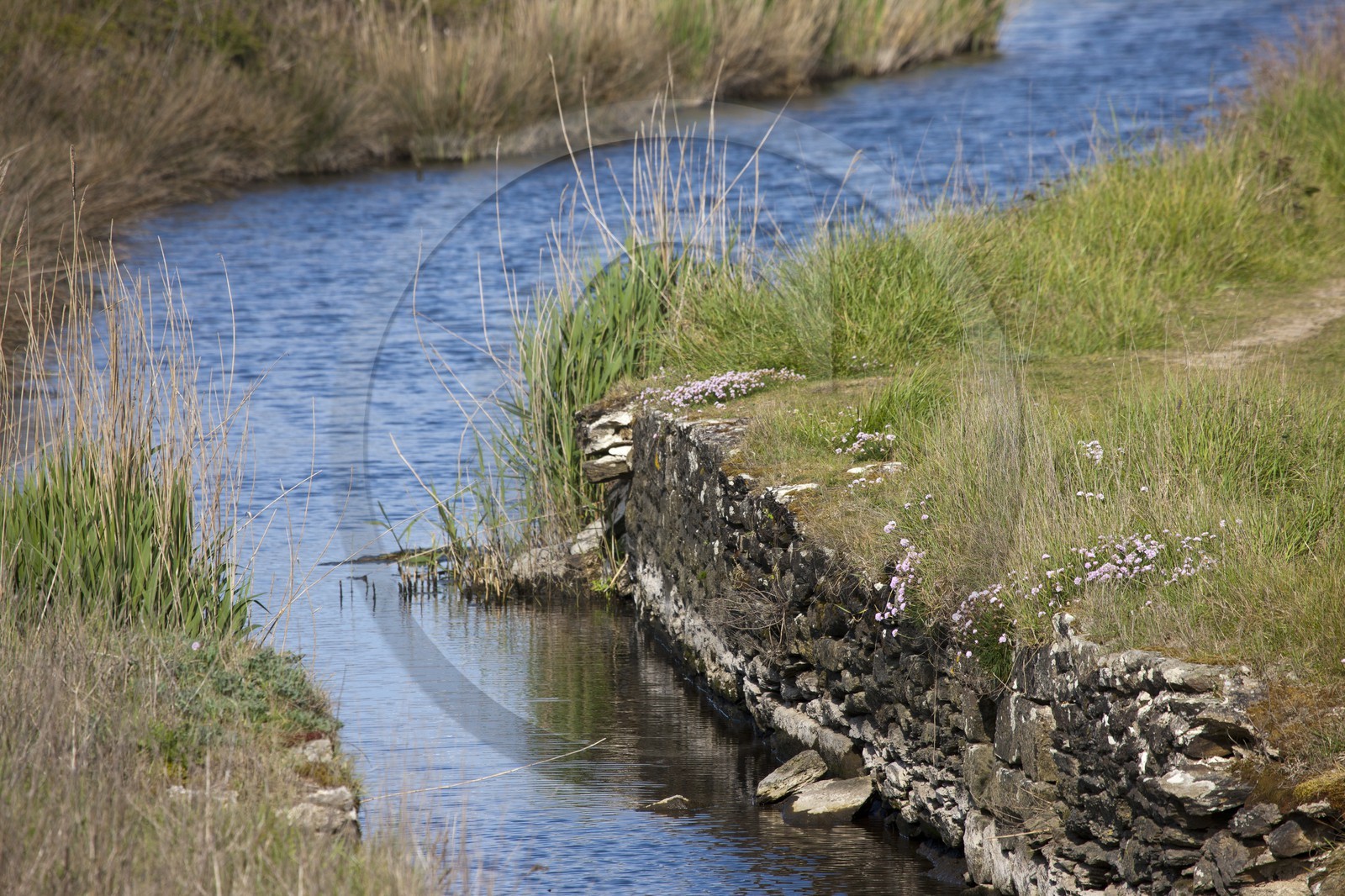 Etang du Loch - Guidel