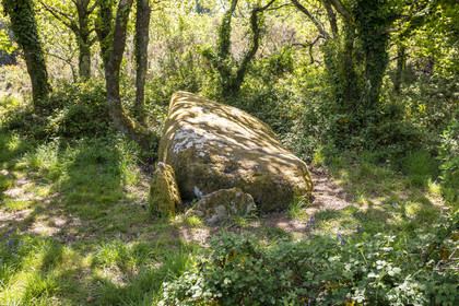 Dolmen de Men Hiaul (Kerblay) à Sarzeau