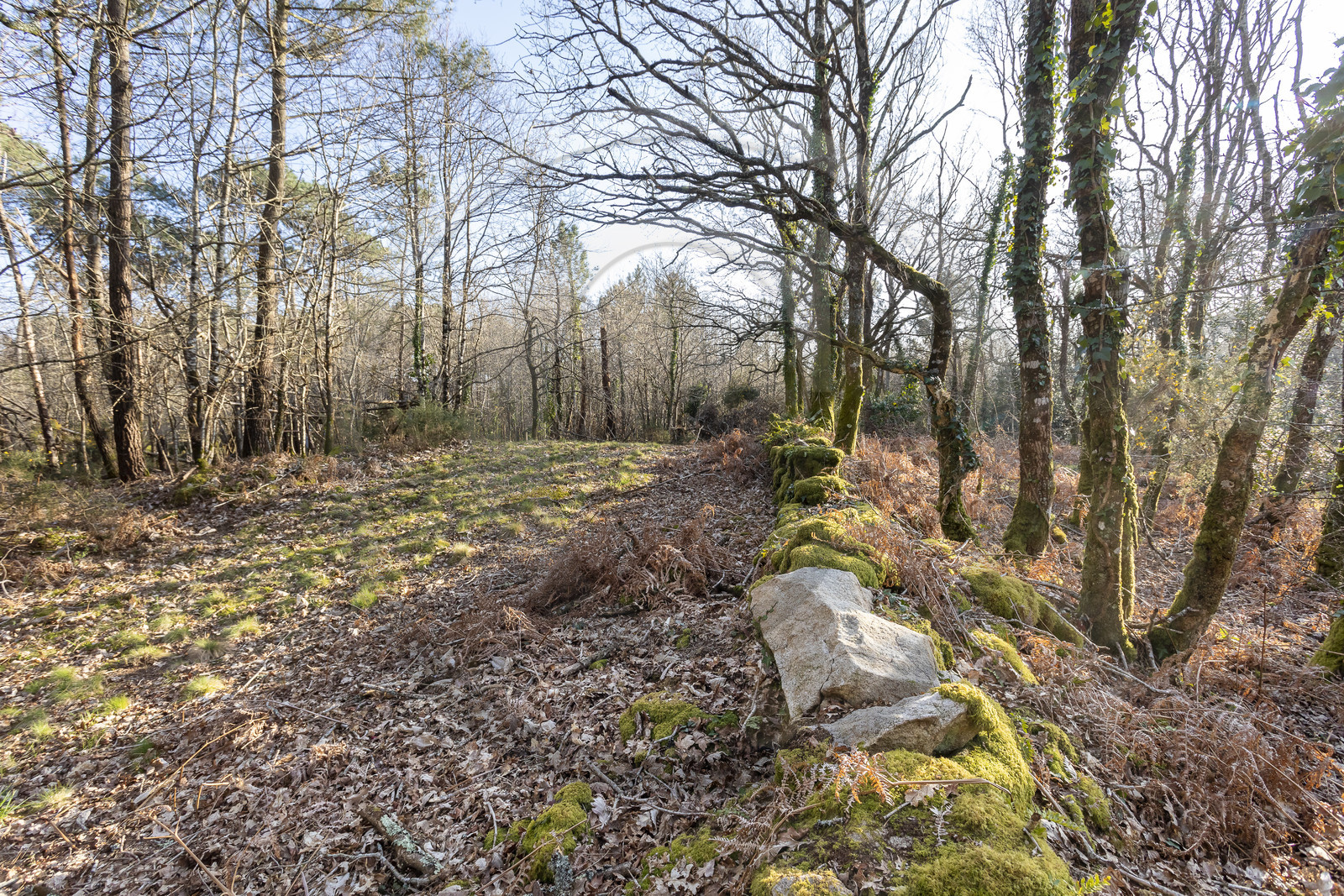 Le site mégalithique Le Castellic à Carnac