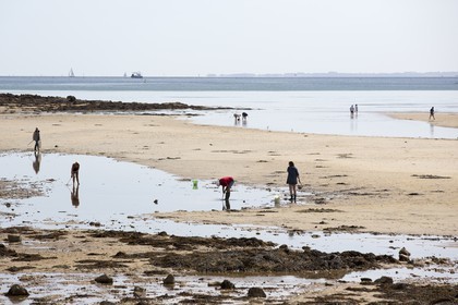 Peche a pied _ plage du men du