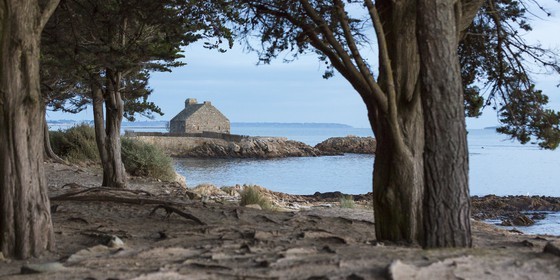 La pointe de Kerbihan _ La Trinite sur Mer