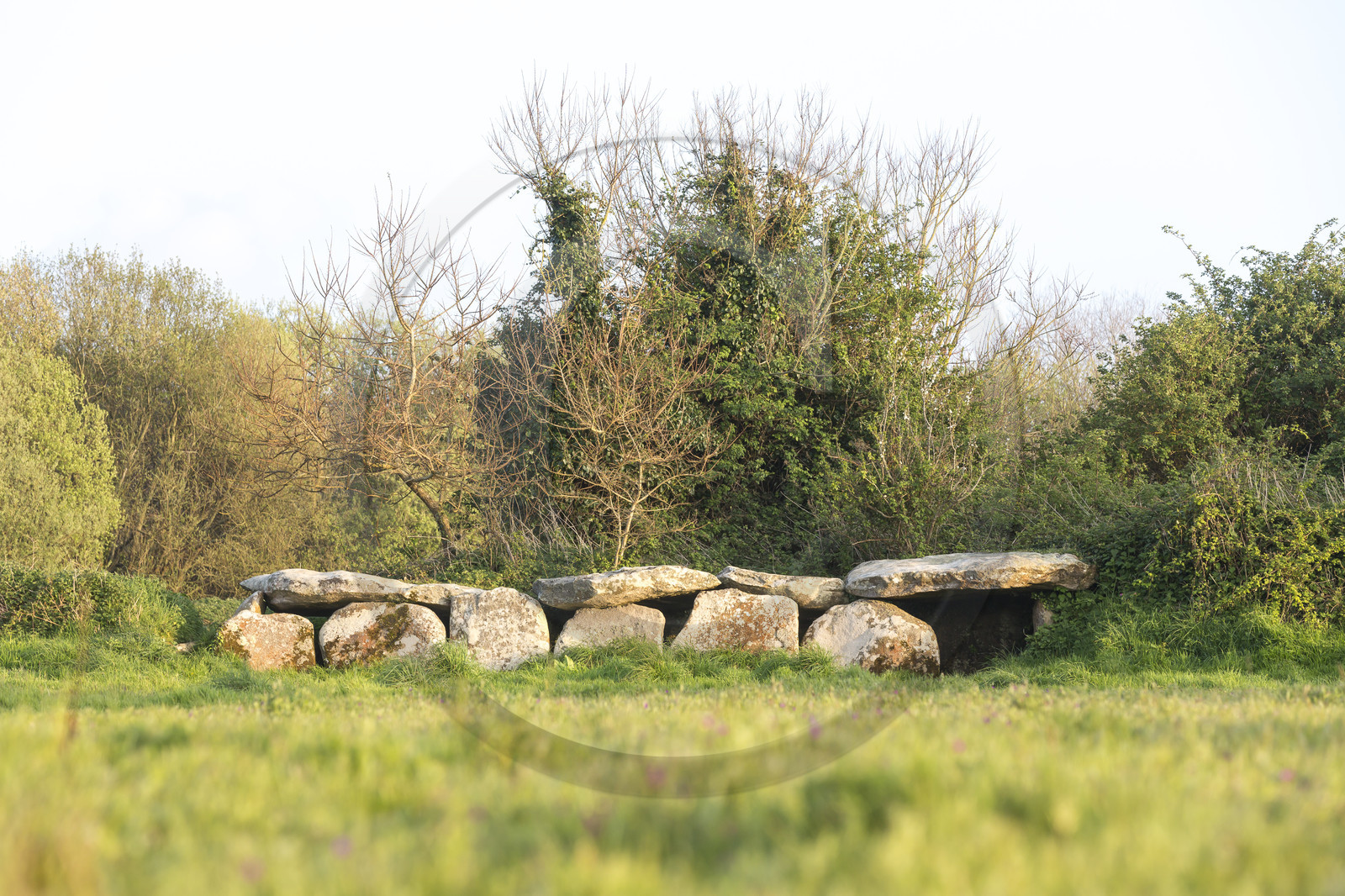 L'allée couverte de Kerguntuil à Trégastel.