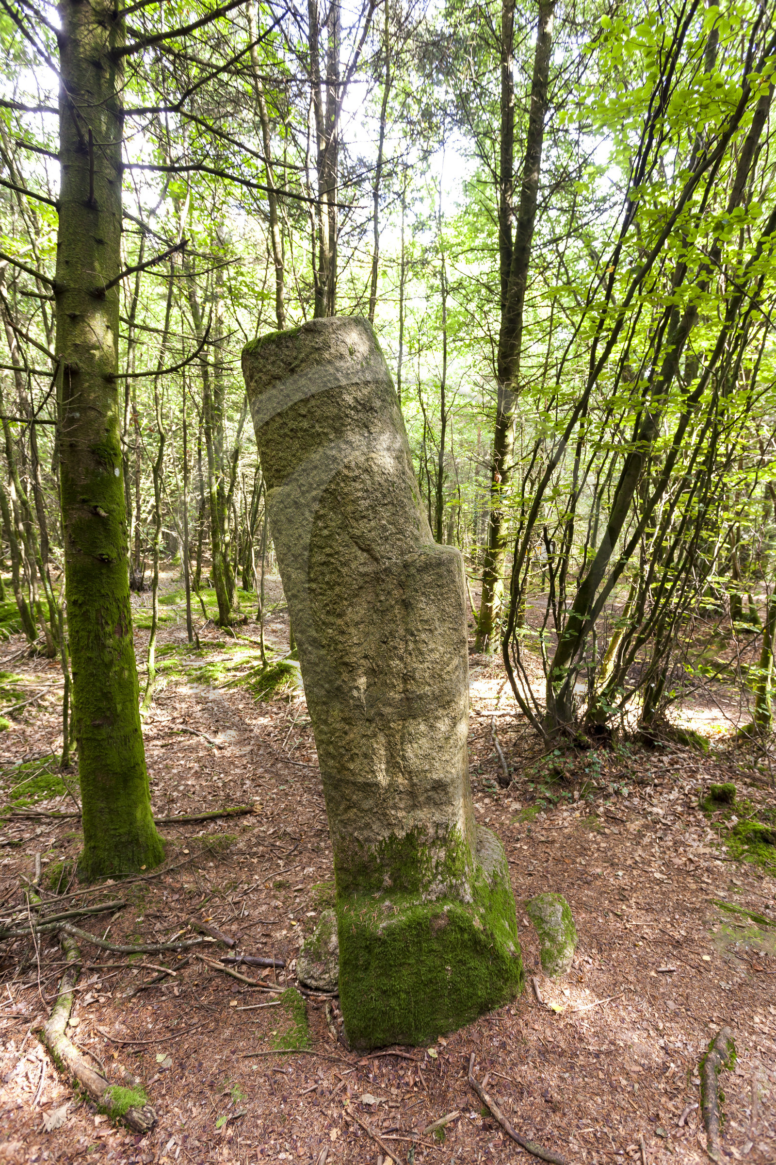Menhir de Babouine à Trédion