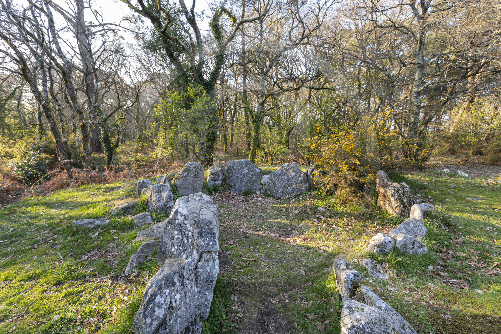 Le site mégalithiques de Mané Bogad à Ploemel
