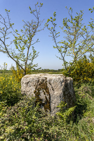 Menhir de Kerbigot à Sarzeau