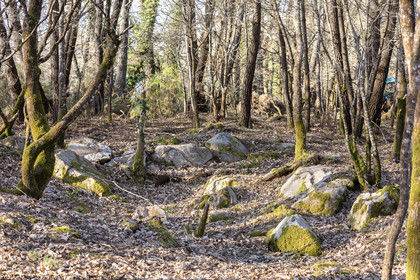 Le site mégalithique Le Castellic à Carnac