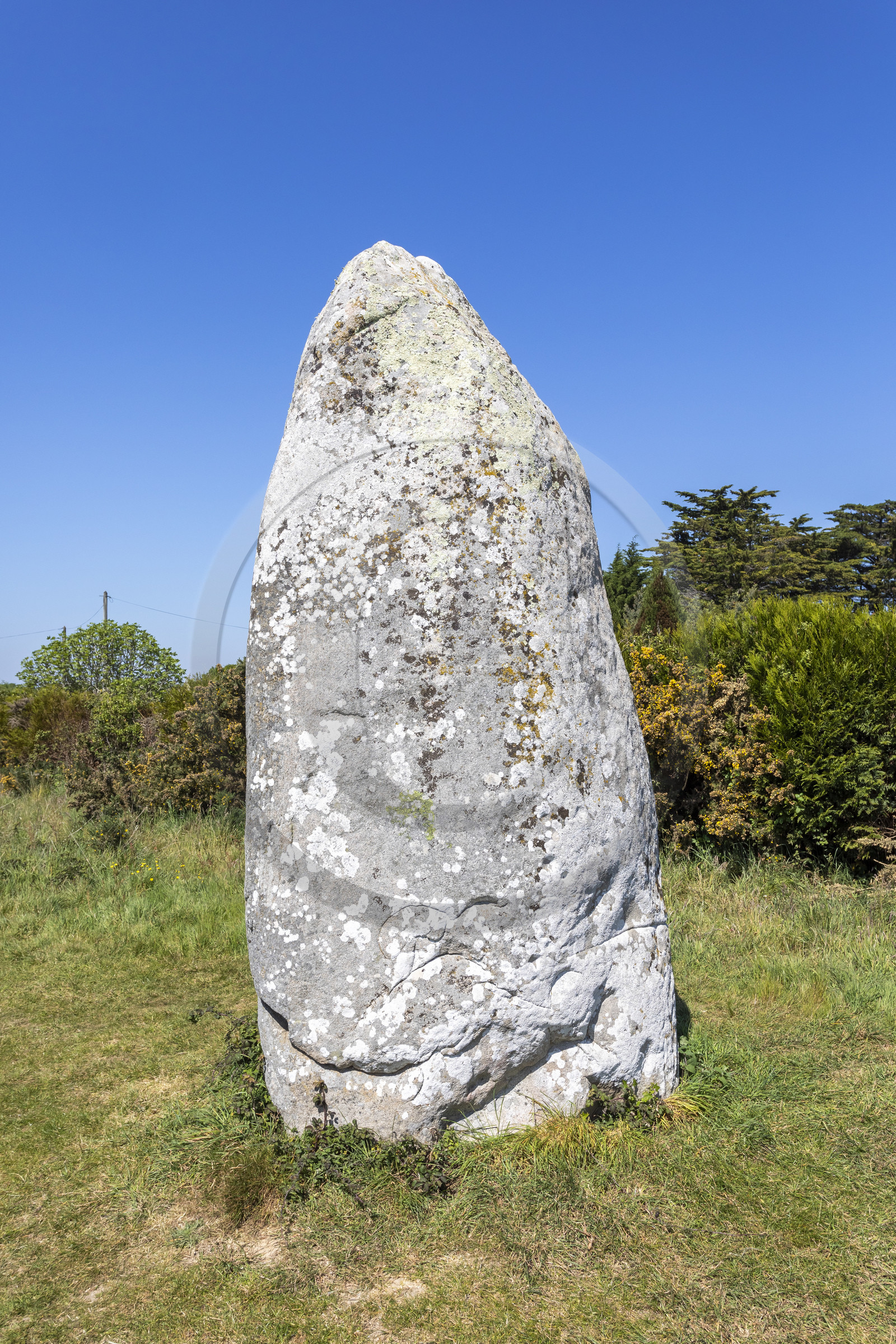 Le menhir de Kermaillard à Sarzeau