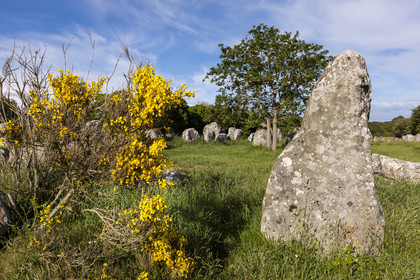 Alignements de Kerzerho _ Erdeven