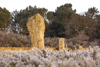 The Ménec alignments in Carnac