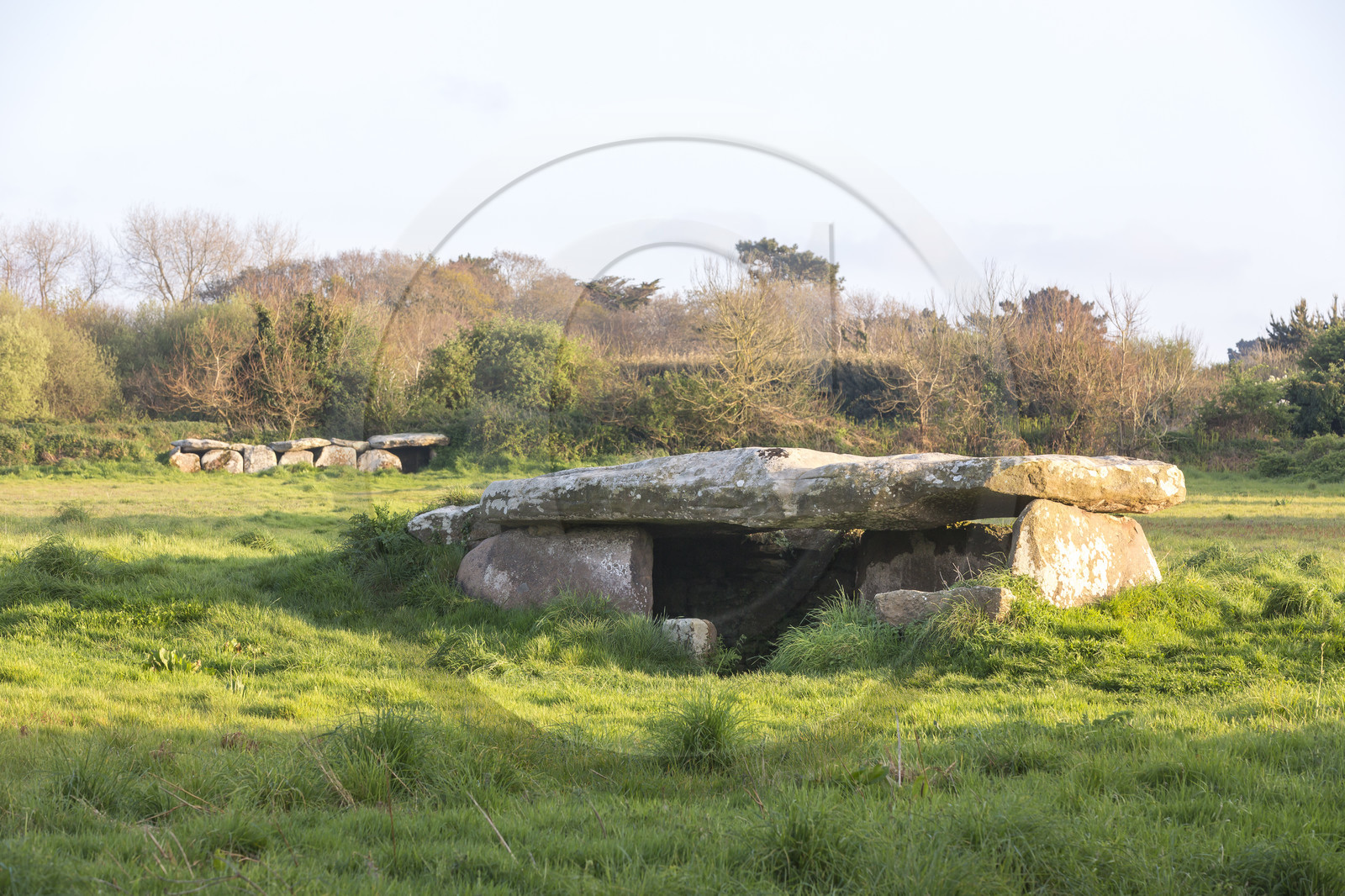 Le Dolmen de Kerguntuil