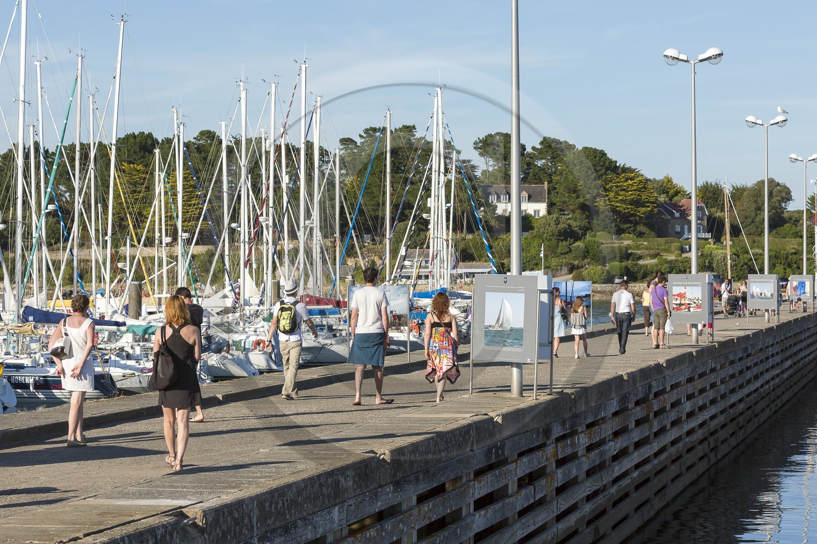 Le mole Loic Caradec