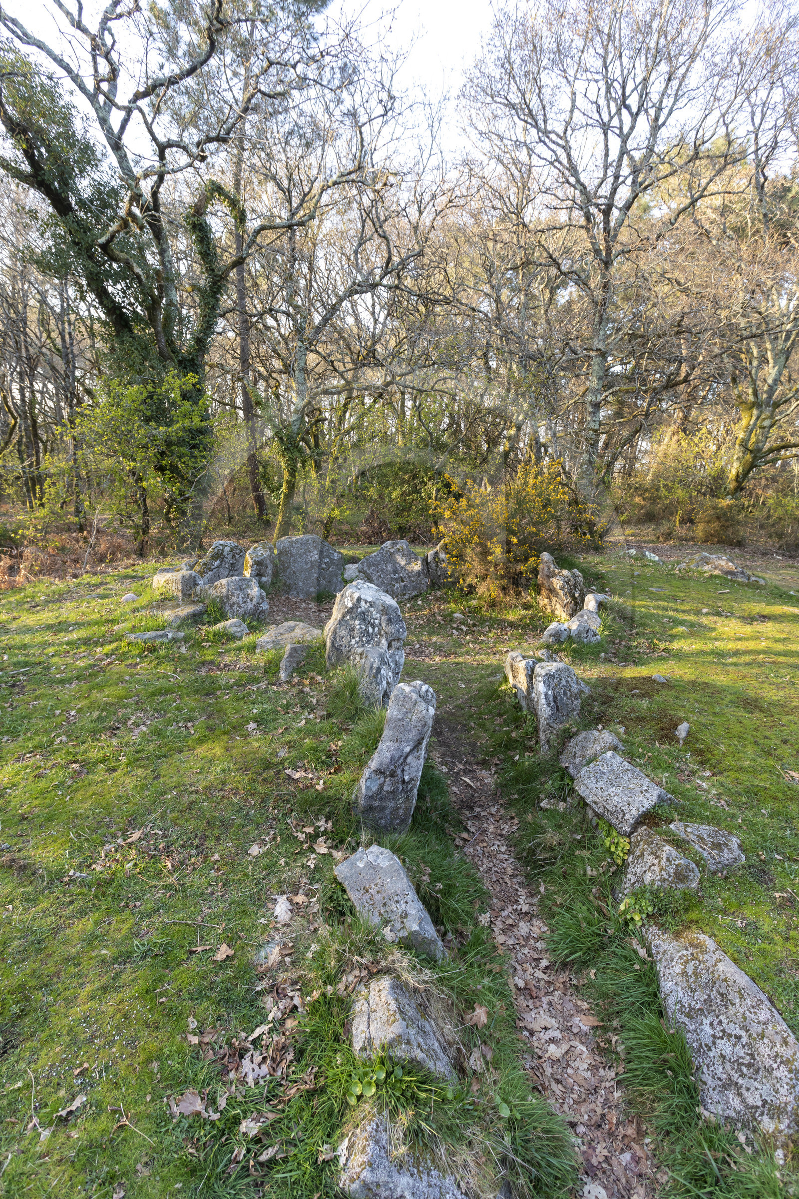Le site mégalithiques de Mané Bogad à Ploemel