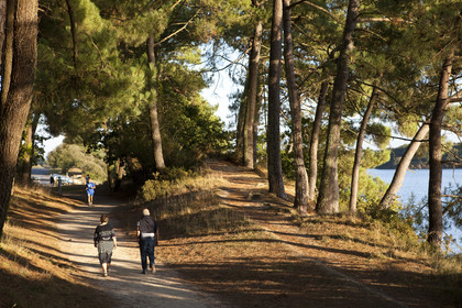 étang du Ter à Ploemeur. Morbihan_France