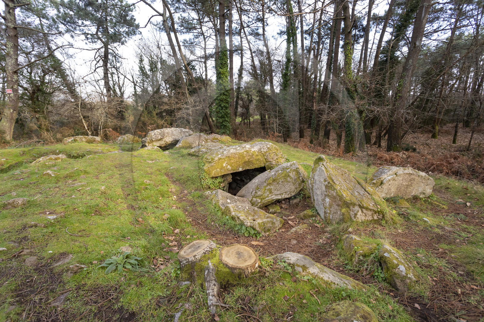 Le dolmen de Mané-Ven-Guen ou Toulvern situé à Baden