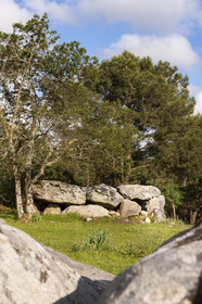 Les dolmens de Mané-Bras à Erdeven