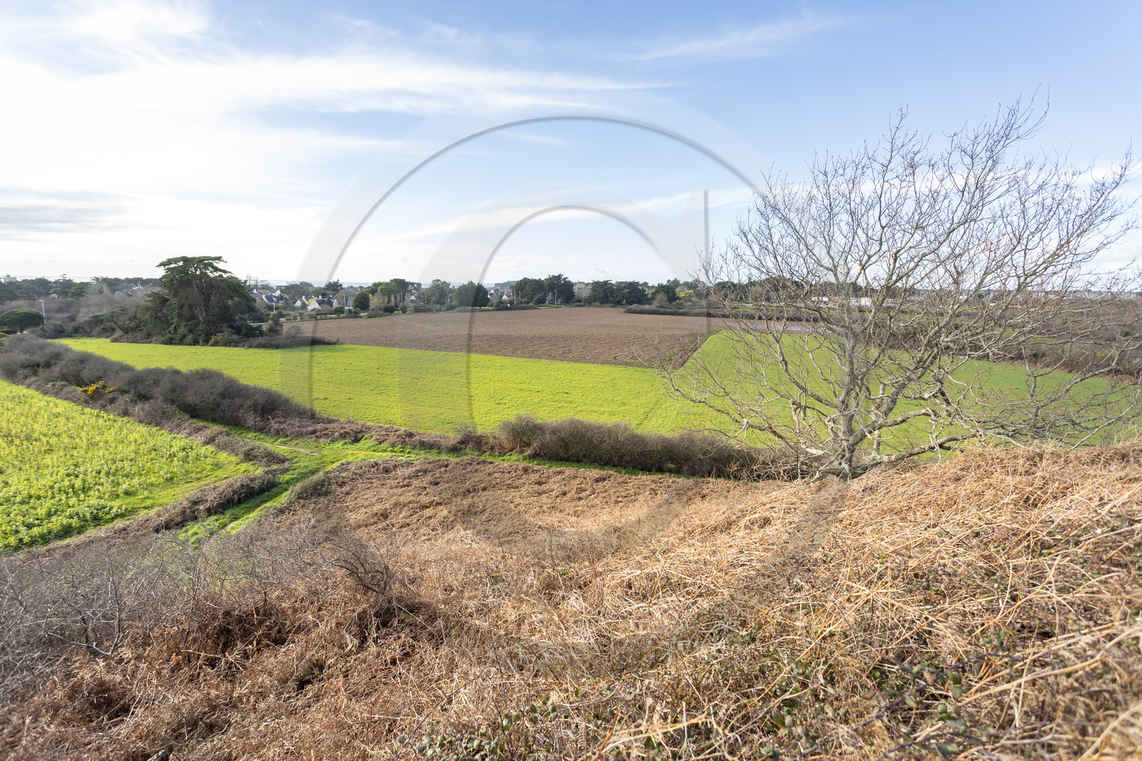 Tumulus de Tumiac à Arzon